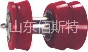 草莓视频APP官方下载清管器